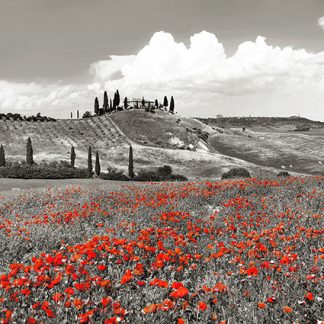 Stampa d'arte