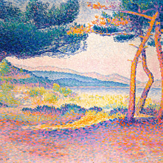 Stampa d'arte