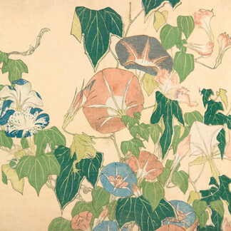 Stampa d'arte