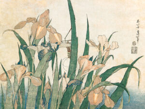 Stampa d'arte