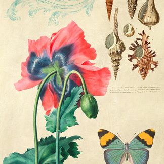 Stampa d'arte