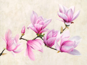 Stampa d'arte