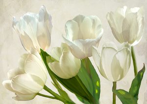 Stampa d'arte