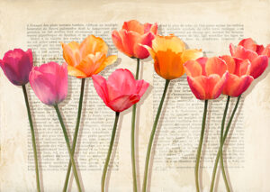 Stampa d'arte