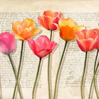 Stampa d'arte