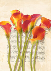 Stampa d'arte
