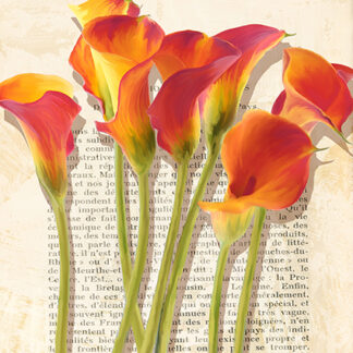 Stampa d'arte