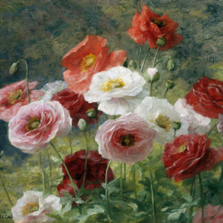 Stampa d'arte
