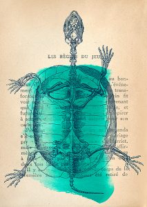 Stampa d'arte