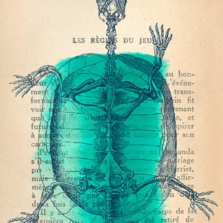 Stampa d'arte