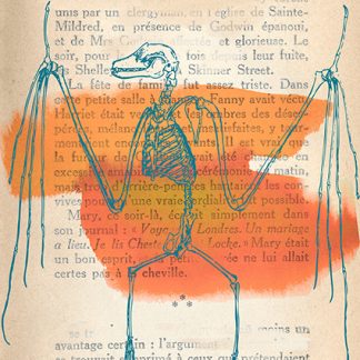 Stampa d'arte