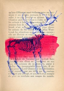 Stampa d'arte
