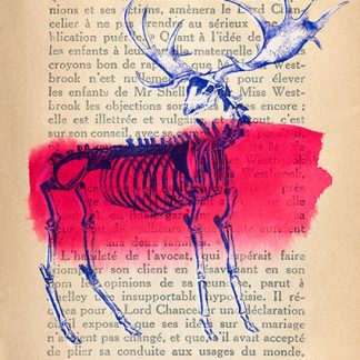 Stampa d'arte