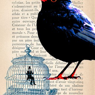 Stampa d'arte