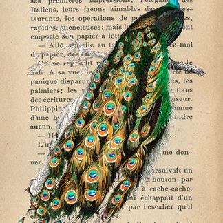 Stampa d'arte