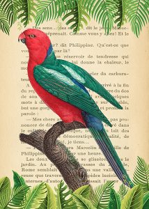 Stampa d'arte