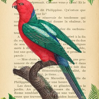 Stampa d'arte