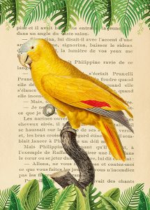 Stampa d'arte