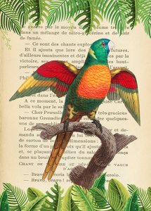 Stampa d'arte