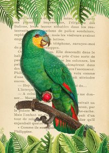 Stampa d'arte