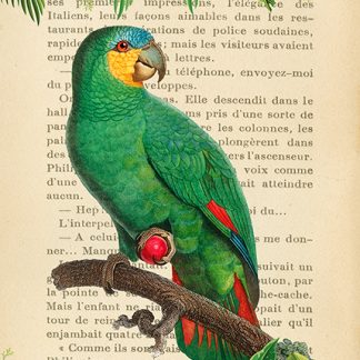 Stampa d'arte