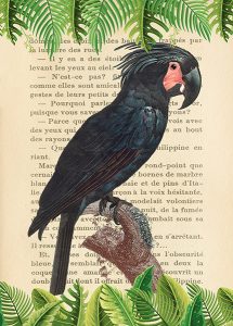 Stampa d'arte