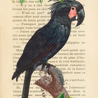 Stampa d'arte