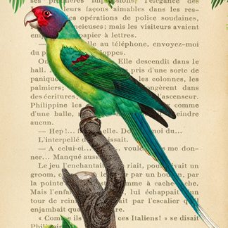 Stampa d'arte