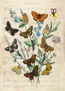 Stampa d'arte