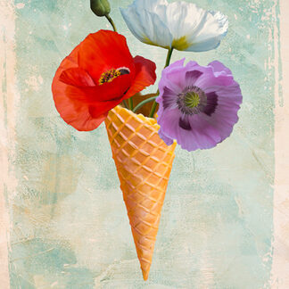 Stampa d'arte