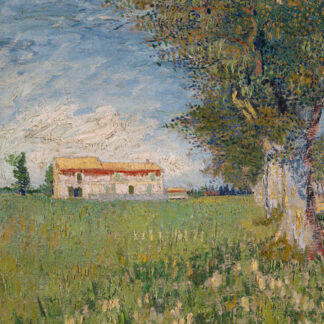 Stampa d'arte