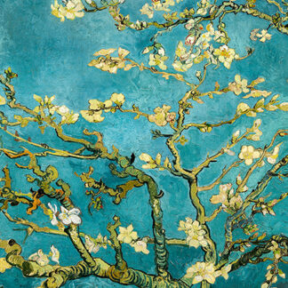 Stampa d'arte