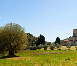 Stampa d'arte