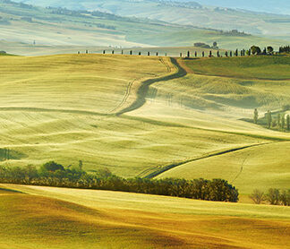 Stampa d'arte