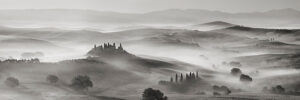Stampa d'arte
