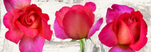 Stampa d'arte